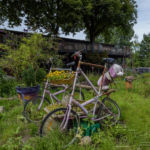 Sommerurlaub im östlichen Dänemark - Puttgarden - Rödby, Mön, Kopenhagen, Odense, Roskilde und Römö
Landschaft, Meer, Stadt und Menschen